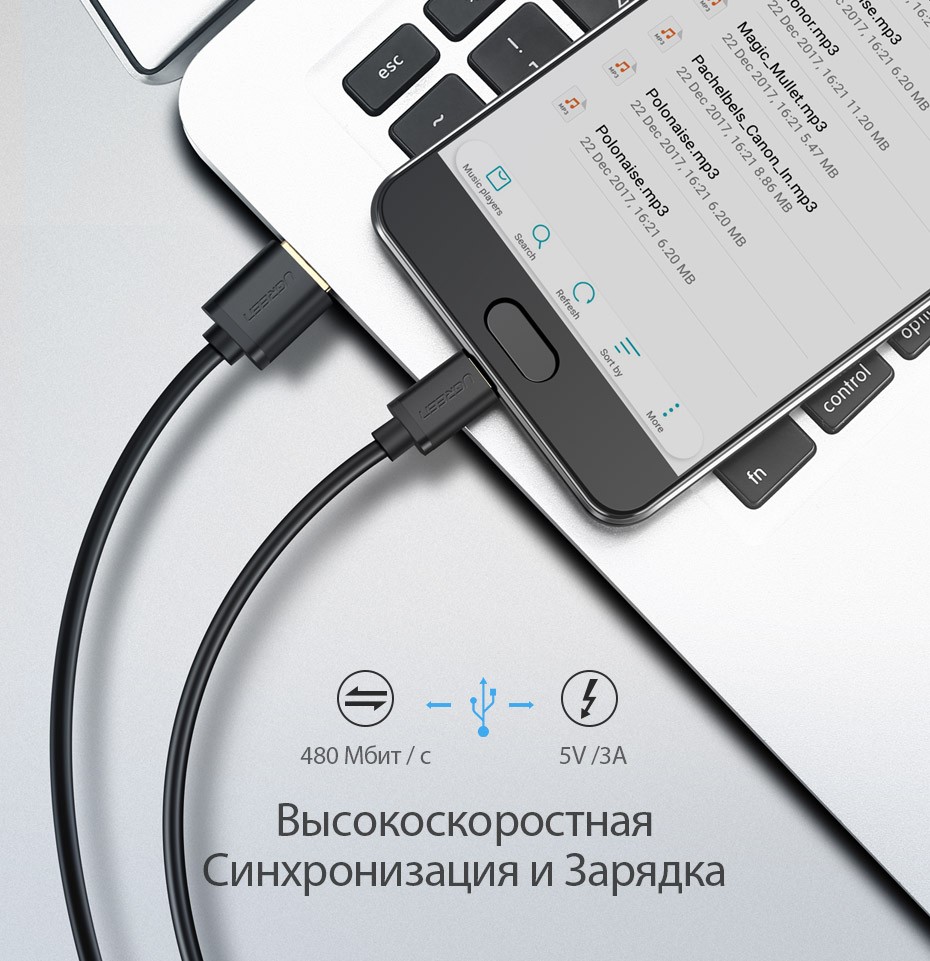 Ugreen-USB-Type-C--USB--------Type-C-USB-----NEXUS-5X-6-P-Oneplus-2-LG--Xiaomi-4